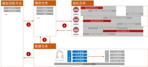 在营销系统中,会员不需要等级