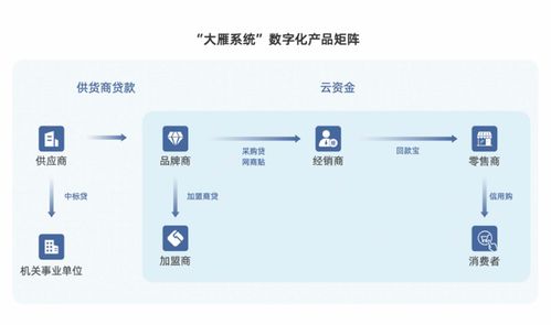 洋河的增长助推器,中国白酒供应链的新玩法 数字化的秘密